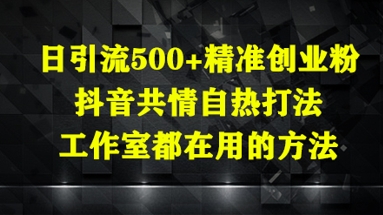 日引流500+精准创业粉，抖音共情自热打法，工作室都在用的方法-第一资源库