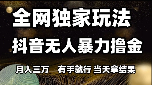 全网独家玩法抖音无人暴力撸金，月入3W，有手就行，当天拿结果【揭秘】-第一资源库