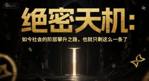 付费文章：绝密天机：如今社会的阶层攀升之路，也就只剩这么一条了-第一资源库