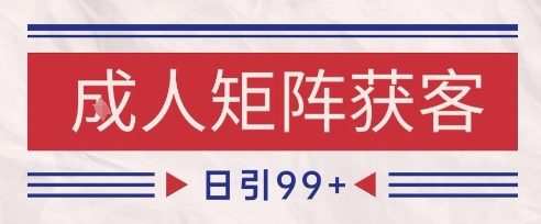 小红书某音橙人赛道引流获客，自热矩阵日引200+【揭秘】-第一资源库