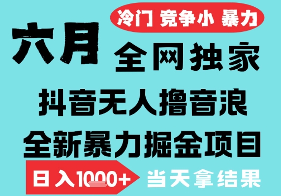 2025年6月高爆抖音无人直播最新撸音浪掘金项目，无脑日入1k+，低门槛小白可做，可矩阵放大【揭秘】-第一资源库