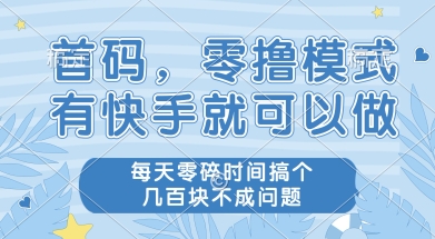 首码零撸项目，有快手就可以做，每天业务时间搞个几张不是问题【揭秘】-第一资源库