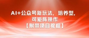 AI+公众号新玩法之培养型，可矩阵操作【附带项目教程】-第一资源库