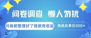 问卷调查，懒人勿扰，问卷都整理好了单价不等，做就有收益，熟练后单日3张【揭秘】-第一资源库