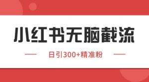 小红书截流同行客源,独家野路子获客玩法 日引200+暴力获客【揭秘】-第一资源库