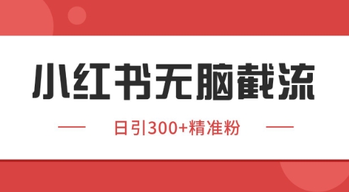 小红书截流同行客源，独家野路子获客玩法 日引200+暴力获客【揭秘】-第一资源库