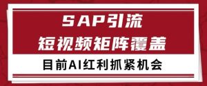 小红书某音sap赛道引流获客 自热矩阵日引200+【揭秘】-第一资源库