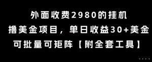 外面收费2980的挂G撸美金项目，单日收益30+美金，可批量可矩阵【揭秘】-第一资源库