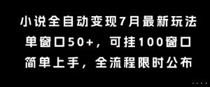 小说全自动变现7月玩法，单窗口50+，可挂100窗口，简单上手，全流程限时公布【揭秘】-第一资源库