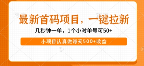 最新首码项目,操作最简单,收益高,一键拉新,1个小时单号可50+,小项目认真做每天5张+收益【揭秘】-第一资源库