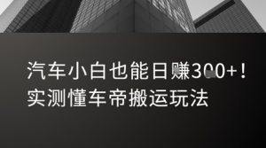 汽车小白也能日入3张！实测懂车帝搬运玩法-第一资源库