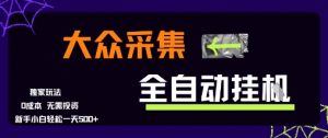 大众采集全自动玩法，新手小白轻松一天5张+，操作简单零成本【揭秘】-第一资源库