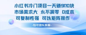 小红书冷门项目一天收益9张，市场需求大，0成本，可复制性强可以矩阵操作-第一资源库