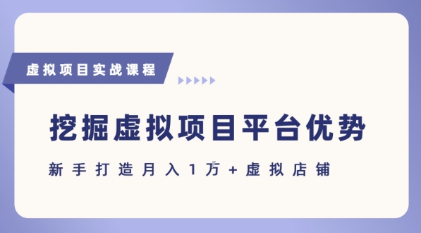抓住虚拟项目各平台优势,新手轻松月入1W+(给出具体建议)-第一资源库