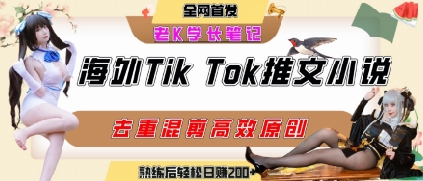 海外tiktok小说推文暴力项目，高停留率，高转化率，上手后一天搞顿饭钱不是问题-第一资源库