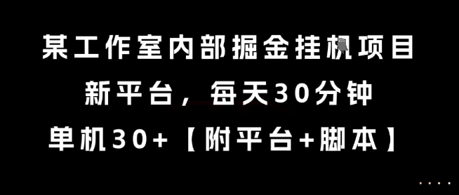 某工作室内部掘金挂G项目，新平台，每天30分钟，单机30+【揭秘】-第一资源库