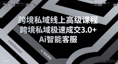 跨境私域线上高级课程，跨境私域极速成交3.0+Ai智能客服-第一资源库