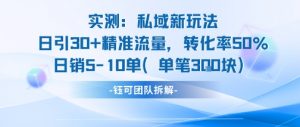 实测私域新玩法日引30加精准流量转化率50%日销5-10单每笔3张-第一资源库