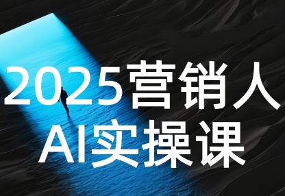 2025营销人Al实操课，AI营销抢跑实战，从Prompt到方案，效率碾压同行-第一资源库