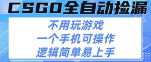 CSGO自动捡漏项目，最新独家玩法，不用挂G不用玩游戏，一个手机即可操作，新手小白轻松月入1W+【揭秘】-第一资源库