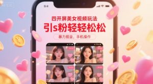 四开屏美女视频玩法，引s粉轻轻松松，暴力掘金，手机操作【揭秘】-第一资源库