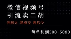 视频号卖二胡教程，利润大 易成交 售后少，一单利润5张+-第一资源库