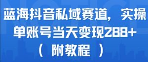 蓝海抖音私域赛道，实操单账号当天变现288+(附教程)-第一资源库