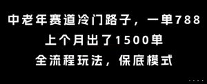 中老年赛道冷门路子，一单788，上个月出了1500单，全流程玩法，保底模式【揭秘】-第一资源库