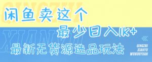 闲鱼卖这个，最少日入1k，最新无货源选品玩法-第一资源库