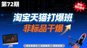 淘宝天猫打爆班原创高阶技术第72期，非标品干爆-第一资源库