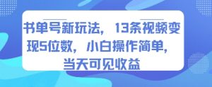 书单号新玩法，13条视频变现5位数，小白操作简单，当天可见收益-第一资源库