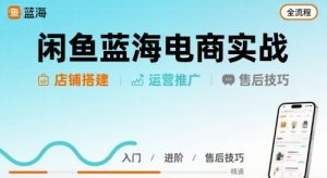 闲鱼蓝海电商实战，店铺搭建运营售后全流程-第一资源库