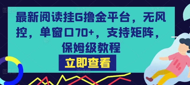 最新阅读挂G撸金平台，无风控，单窗口70+，支持矩阵，保姆级教程【揭秘】-第一资源库
