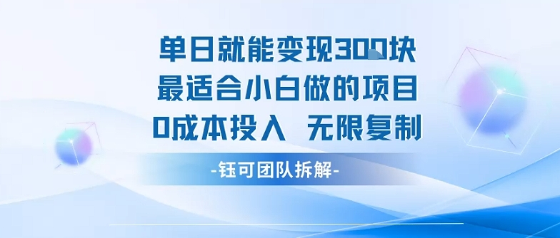 单日就能变现3张最适合小白做的项目0成本投入 无限复制-第一资源库