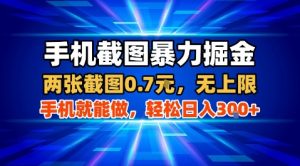 手机截图暴力掘金，两张截图0.7米，一部手机就能做，轻松日入3张+【揭秘】-第一资源库