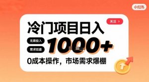 在小红书上发现个冷门路子，需求不小，零成本操作，每天能有1k进账-第一资源库