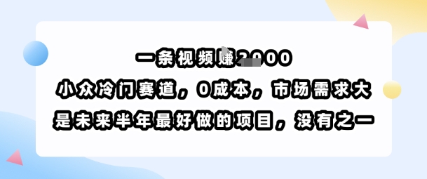一条视频挣1k，小众冷门赛道，0成本，市场需求大，是未来半年最好做的项目，没有之一-第一资源库