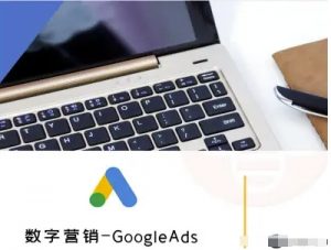数字营销-GoogleAds-外贸跨境电商教程-第一资源库