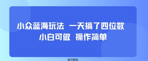 小众蓝海玩法 一天搞了四位数 小白可做 操作简单-第一资源库