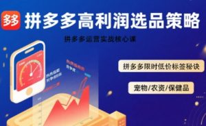 拼多多选品暴利技术实战课，拼多多高利润选品策略，拼多多限时低价标签秘诀-第一资源库
