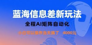 蓝海信息差新玩法，全程AI矩阵自动化小白可以操作当天搞了1k+-第一资源库