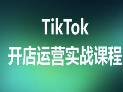 TikTok开店运营实战课程，TK跨境电商实操全流程-第一资源库