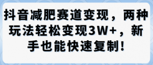 抖音减肥赛道变现，两种玩法轻松变现3W+，新手也能快速复制-第一资源库