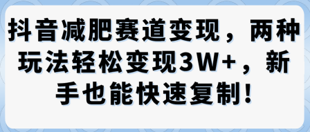 抖音减肥赛道变现，两种玩法轻松变现3W+，新手也能快速复制-第一资源库