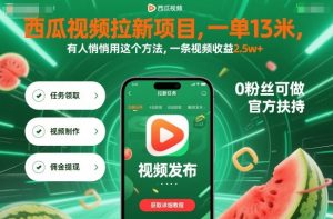 西瓜视频拉新项目，一单13米，有人悄悄用这个方法，一条视频收益2.5w+（附详细教程）-第一资源库