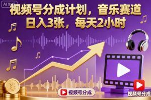 视频号分成计划，音乐赛道，日入3张，每天2小时-第一资源库