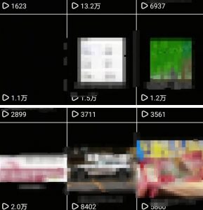 抖音引流创业粉教程，创业粉终于跑通了，私域是永远的王-第一资源库