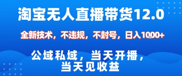 淘宝无人直播12.0，公域私域技术，不封号，不违规布局双十一流量风口，日入1k（独家技术）【揭秘】-第一资源库