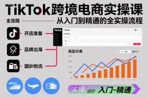 TikTok跨境电商实操课,从入门到精通的全实操流程-第一资源库