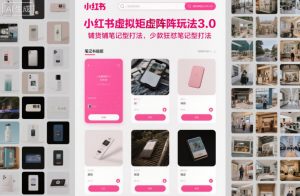 小红书虚拟矩阵玩法3.0，铺货铺笔记型打法，少款狂怼笔记型打法-第一资源库